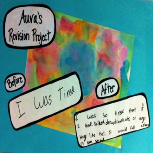 3rd Grade Revision Project