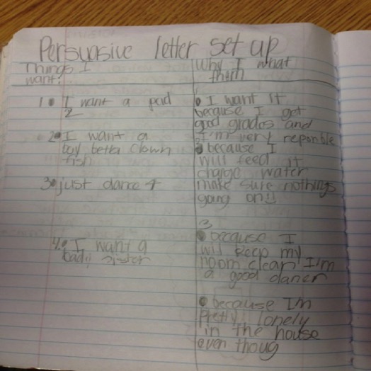 3rd Grade Persuasive Ideas List
